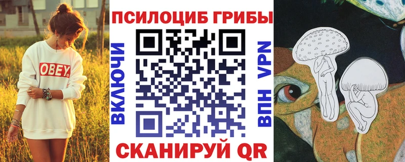 Галлюциногенные грибы мухоморы  закладка  Дмитриев 